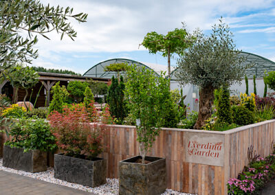 Rachaels Plant Outlet
